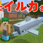 【カズクラ】陸を移動してカズのこ村にイルカさんキター！マイクラ実況 PART311