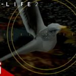 #5【FPS】弟者の「Half-Life 2」【2BRO.】