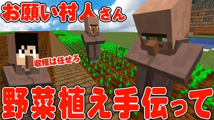 【カズクラ】村人さんにお願いして野菜植え=収穫だけになるｗ！マイクラ実況 PART376