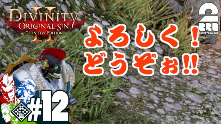 #12【RPG】弟者,兄者,おついちの「Divinity :Original Sin 2」【2BRO.】