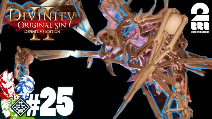 #25【RPG】弟者,兄者,おついちの「Divinity :Original Sin 2」【2BRO.】