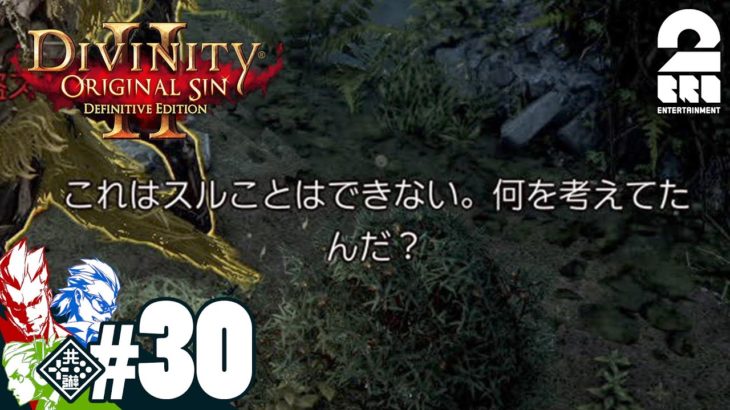 #30【RPG】弟者,兄者,おついちの「Divinity :Original Sin 2」【2BRO.】