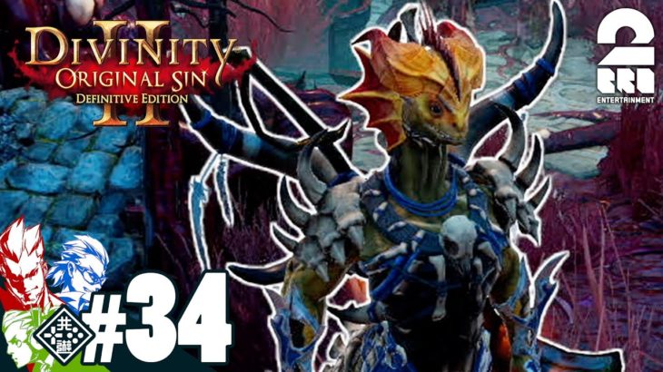 #34【RPG】弟者,兄者,おついちの「Divinity :Original Sin 2」【2BRO.】
