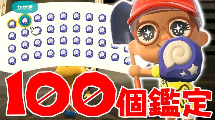 【カズ森】 化石100個鑑定でコンプできるか？あつまれどうぶつの森 PART68