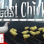 #1【親鶏】弟者の「LAST CHICK – 最後のひよこ」【2BRO.】