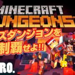 #1【ハクスラ】弟者,兄者,おついちの「Minecraft Dungeons（マインクラフト  ダンジョンズ）」【2BRO.】