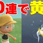 【カズ森】 釣り60連で黄金魚チャレンジしてみた！！あつまれどうぶつの森 PART67