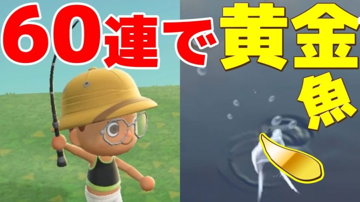 【カズ森】 釣り60連で黄金魚チャレンジしてみた！！あつまれどうぶつの森 PART67