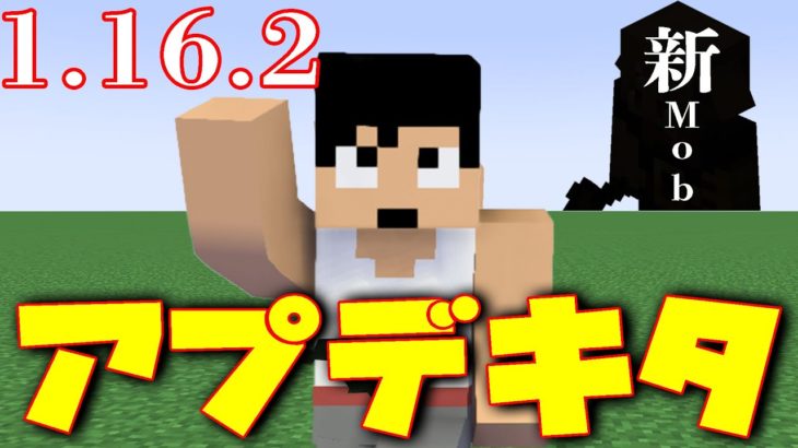 【カズクラ2020】最新アプデキタ！！マイクラ実況 PART225