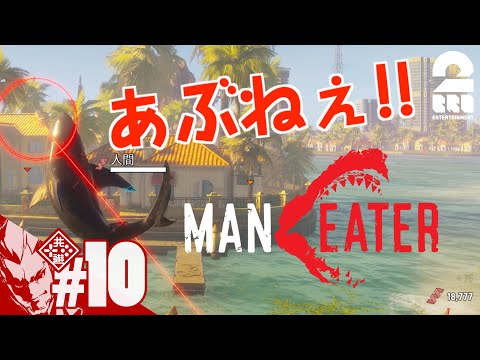 #10【サメ者】弟者の「Maneater」【2BRO.】