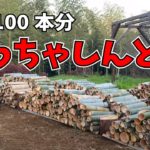 【量産体制】丸1日かけて竹炭用の竹を100本切ってみた！