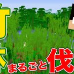 【カズクラ2021】ジャングル丸ごと伐採！超大量の竹をGET！ マイクラ実況 PART24