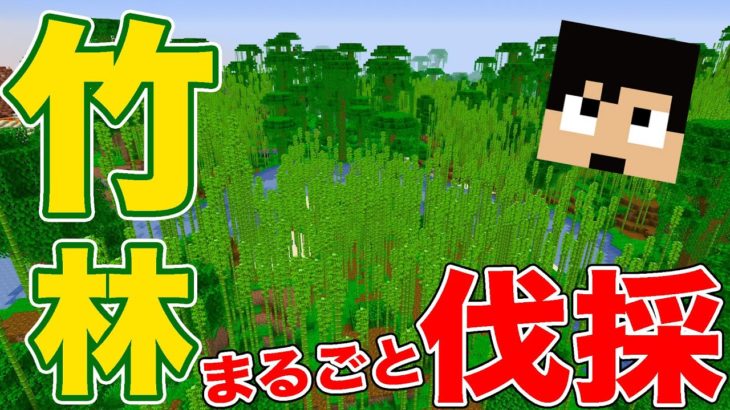 【カズクラ2021】ジャングル丸ごと伐採！超大量の竹をGET！ マイクラ実況 PART24