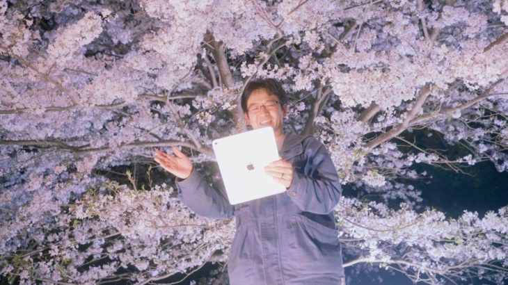 満開の夜桜を撮影してきました【動画で花見】