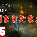 #15【愚か者の偶像】弟者の「Demon’s Souls リメイク（PS5版）」【2BRO.】