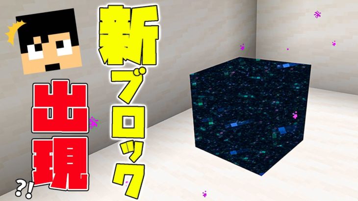 【カズクラ2021】何コレ?!新ブロックが発見されました?! マイクラ実況 PART98