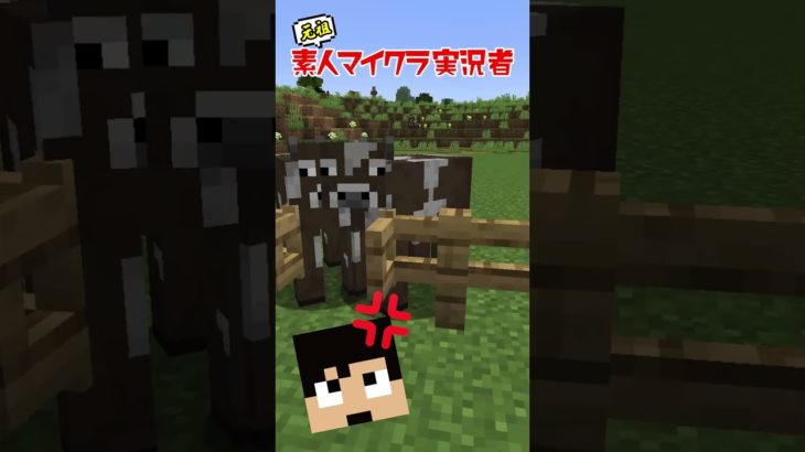 効率的なモブの捕まえ方【Minecraft】#shorts