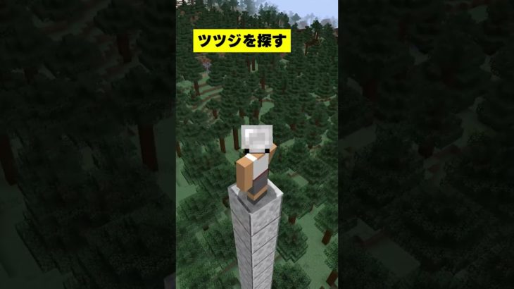 みんな新しいバイオームもう見つけた？繁茂した洞窟【Minecraft 1.18】#shorts