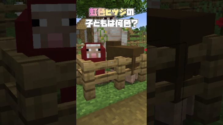 虹色ヒツジ×虹色ヒツジの子どもは何色？【Minecraft】#shorts