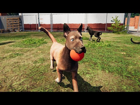 動物保護施設で働いて負傷した犬を助けてあげるゲーム「Animal Shelter」が凄い