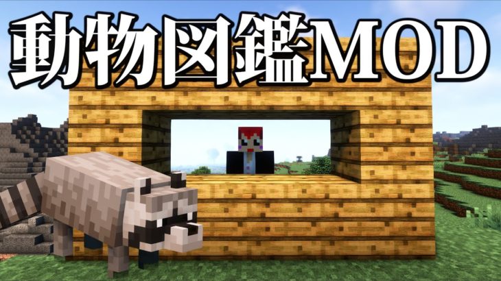 【動物図鑑MOD】伝説の水曜どうでしょう｢ブンブン」から動物観察?!【あかがみん/赤髪のとも/】