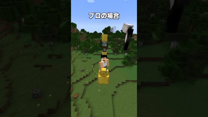 カズクラがエグい花火作ったｗ【minecraft】#shorts