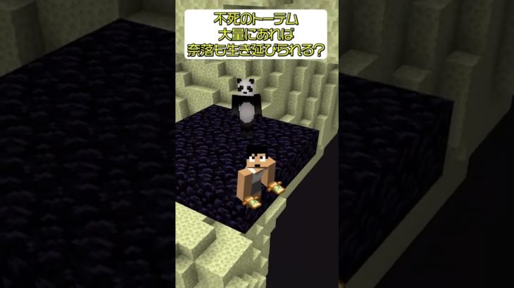 【検証】不死のトーテム持ってたら奈落に落ちても生き延びられるの？【minecraft】#shorts