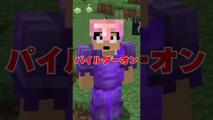 この言葉って聞いたことある？？【minecraft】#shorts