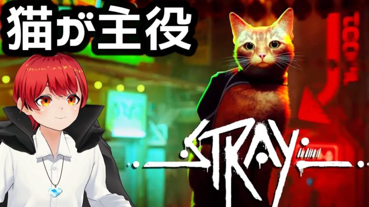 猫ちゃんの大冒険 Stray(ストレイ)をライブ実況【赤髪のとも】