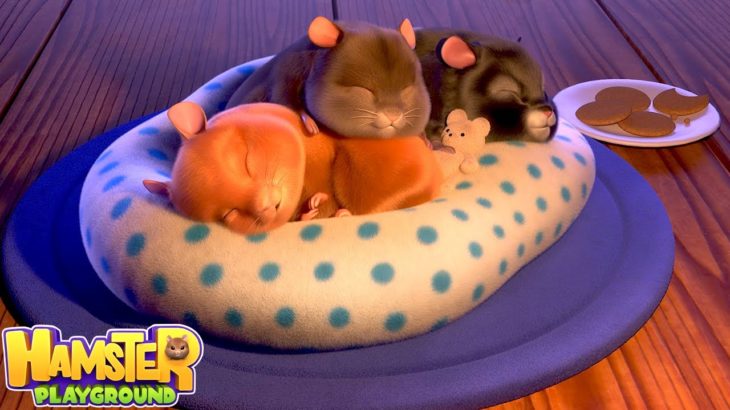 ハムスターを育成して迷路レースに出場させてお金を稼ぐゲーム「 Hamster Playground 」