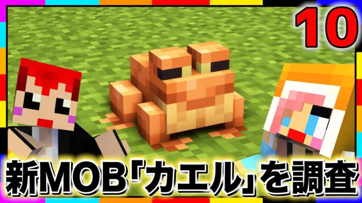 【あかクラGO】2種類の新キャラ｢カエル」と｢ワジマ｣が現れた!?　【マインクラフト/あかがみんクラフトGO/赤髪のとも】#10