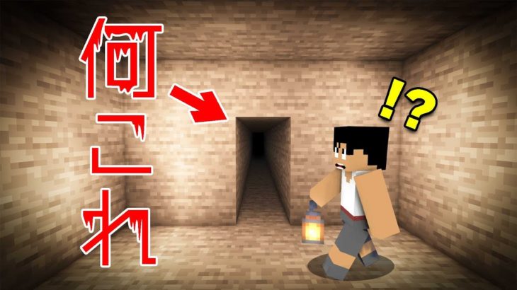 泥棒！？倉庫に怪しい抜け穴を発見しました！！PART295【マイクラ】