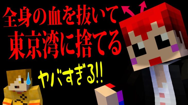 【赤ぺん】赤髪のともvsぺいんとの争いに巻き込まれる健康な人達【健康マイクラ配信切り抜き】