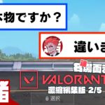 【本物ですか?】弟者,ドンピシャ,鉄塔,ぺちゃんこの「VALORANT(ヴァロラント)」濃縮編集版 2/5【2BRO.】