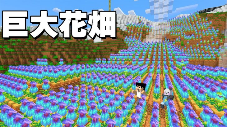 【狂気】アプデ花1000本で巨大お花畑つくってみた PART176【マイクラ.アツクラ】