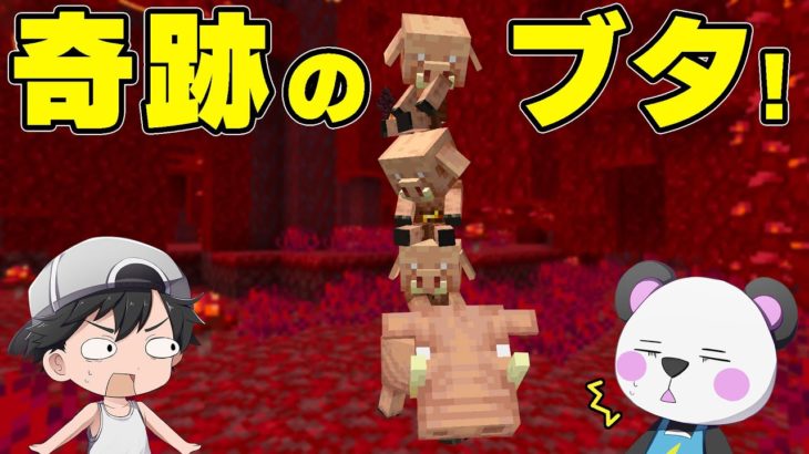 奇跡のモンスターが現れました！！PART225【マイクラ.アツクラ】