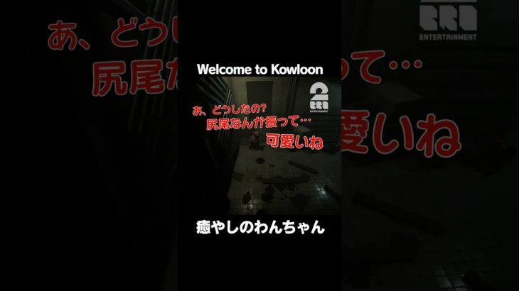 癒やしのわんちゃん【Welcome to Kowloon】 #shorts