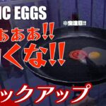 ※虫注意!!【G登場で阿鼻叫喚】弟者の「Arctic Eggs」生放送からピックアップ【2BRO.】