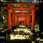 超リアルに再現された世界で「綺麗な風景の写真」を撮りまくるゲーム【Lushfoil Photography Sim】