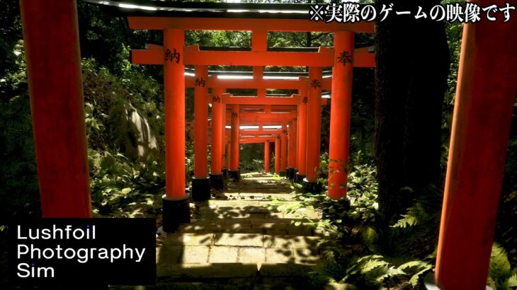 超リアルに再現された世界で「綺麗な風景の写真」を撮りまくるゲーム【Lushfoil Photography Sim】