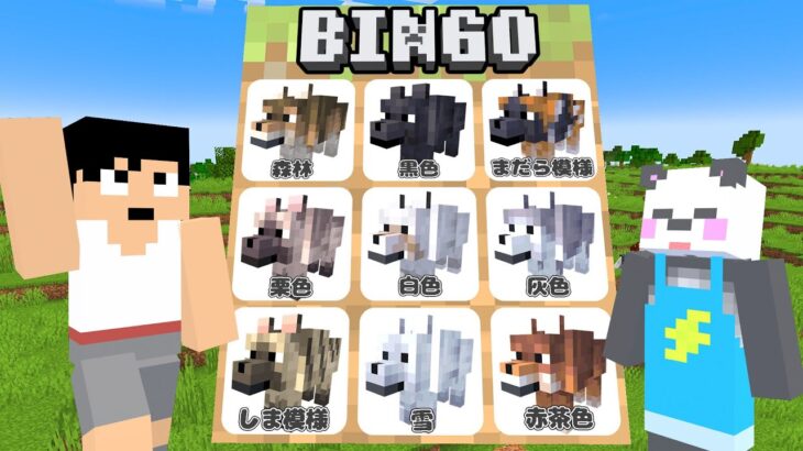 ガチ勝負！オオカミビンゴ対決！！【マイクラ】