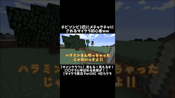 チビゾンビ1匹にメチャクチャにされるマイクラ初心者ww #マイクラ  #ドッキリ