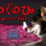 昨年亡くなった愛犬ポッキーが主人公のオリジナルゲーム「つぐのひ -犬のポッキー冒険譚-」