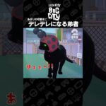 あまりの可愛さにデレデレになる弟者【Little Kitty, Big City】 #shorts