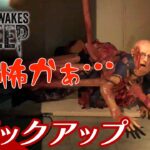 【恐怖のあまり九州弁がうつる弟者】弟者の「Still Wakes the Deep」生放送#1 からピックアップ【2BRO.】