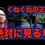 【都市伝説】見たら狂う「くねくね」は絶対に見てはいけない・・・