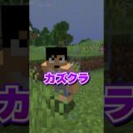 あなたならどうする？ #minecraft #shorts