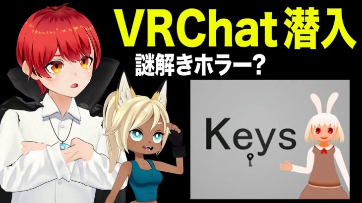 【画面酔い注意】第2回 VRChatで遊ぶ【赤髪のとも/kaka】