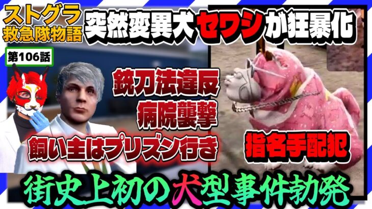 【ストグラ】腹筋崩壊!!ノビーの愛犬セワシが狂暴化で街中大混乱【救急隊物語/赤兎がみとも/赤髪のとも】#106