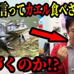 鶏の唐揚げの中身がカエルの唐揚げだったら気づくのか…!?【ドッキリ】